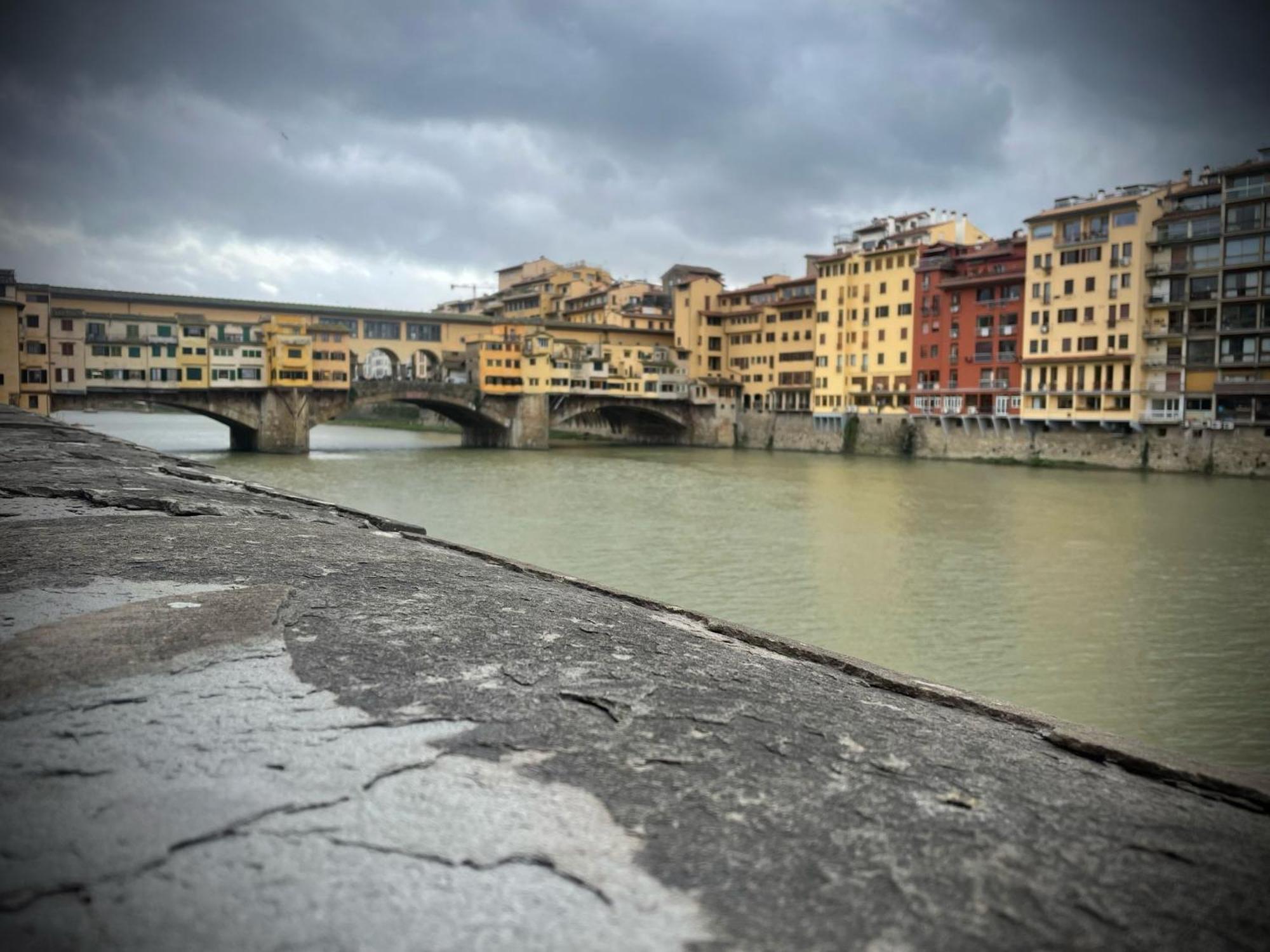 Designer In * Firenze